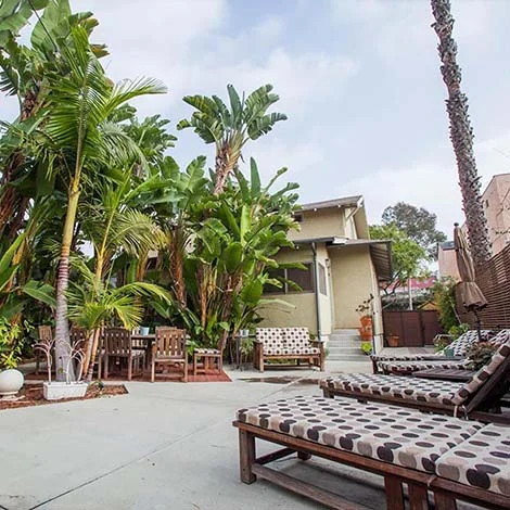 DETROIT HOUSE detroit house