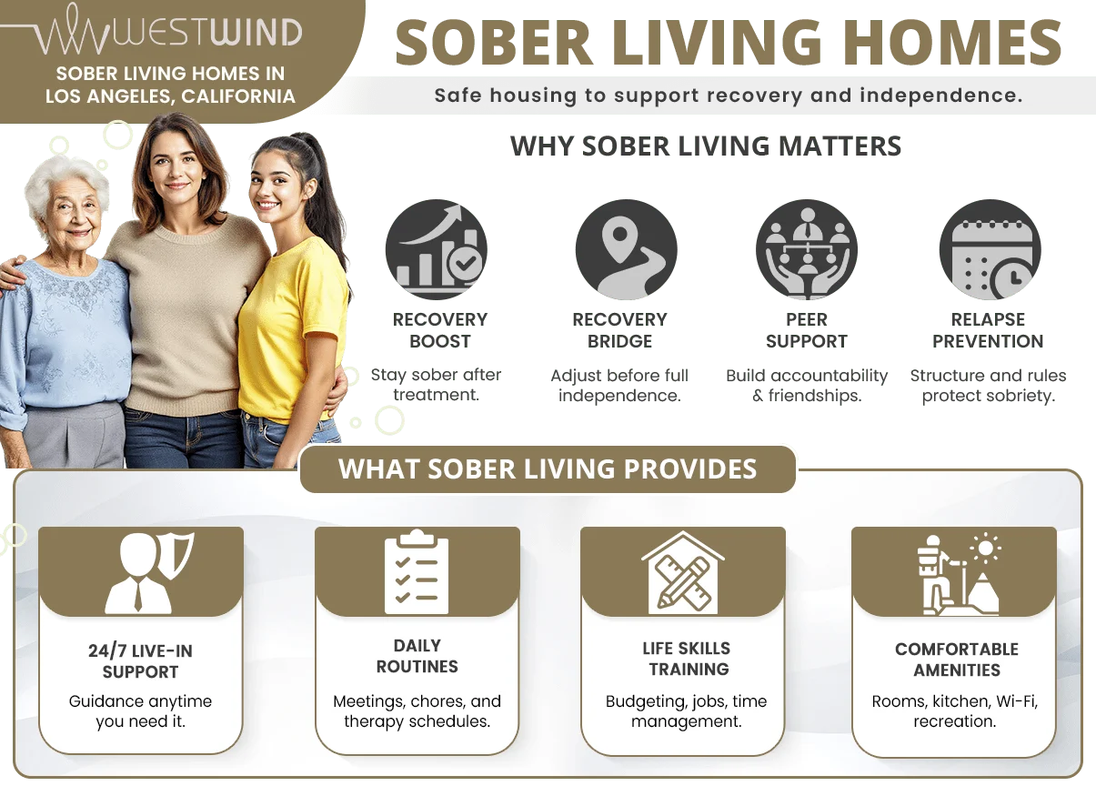 an infographic showing why sober living homes in Los Angeles, CA matter