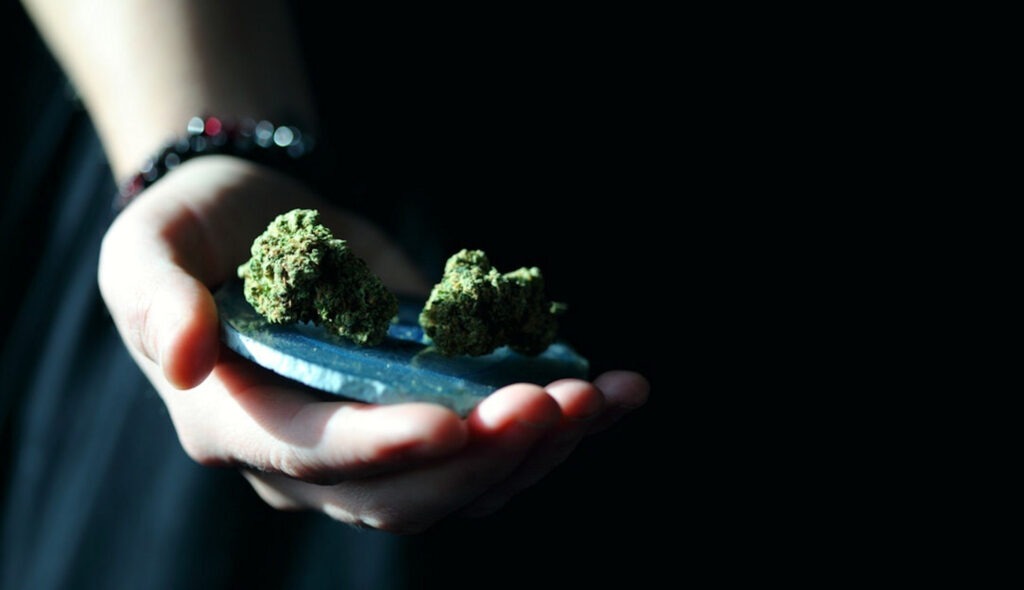 a-hand-holding-marijuana-in-need-of-treatment