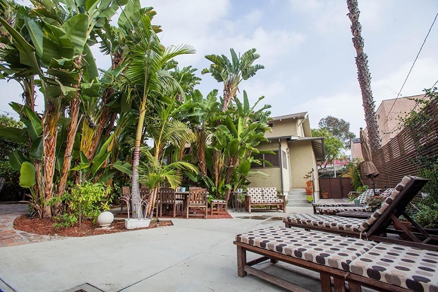 A serene patio featuring a large palm tree in the background, creating a tropical and inviting atmosphere