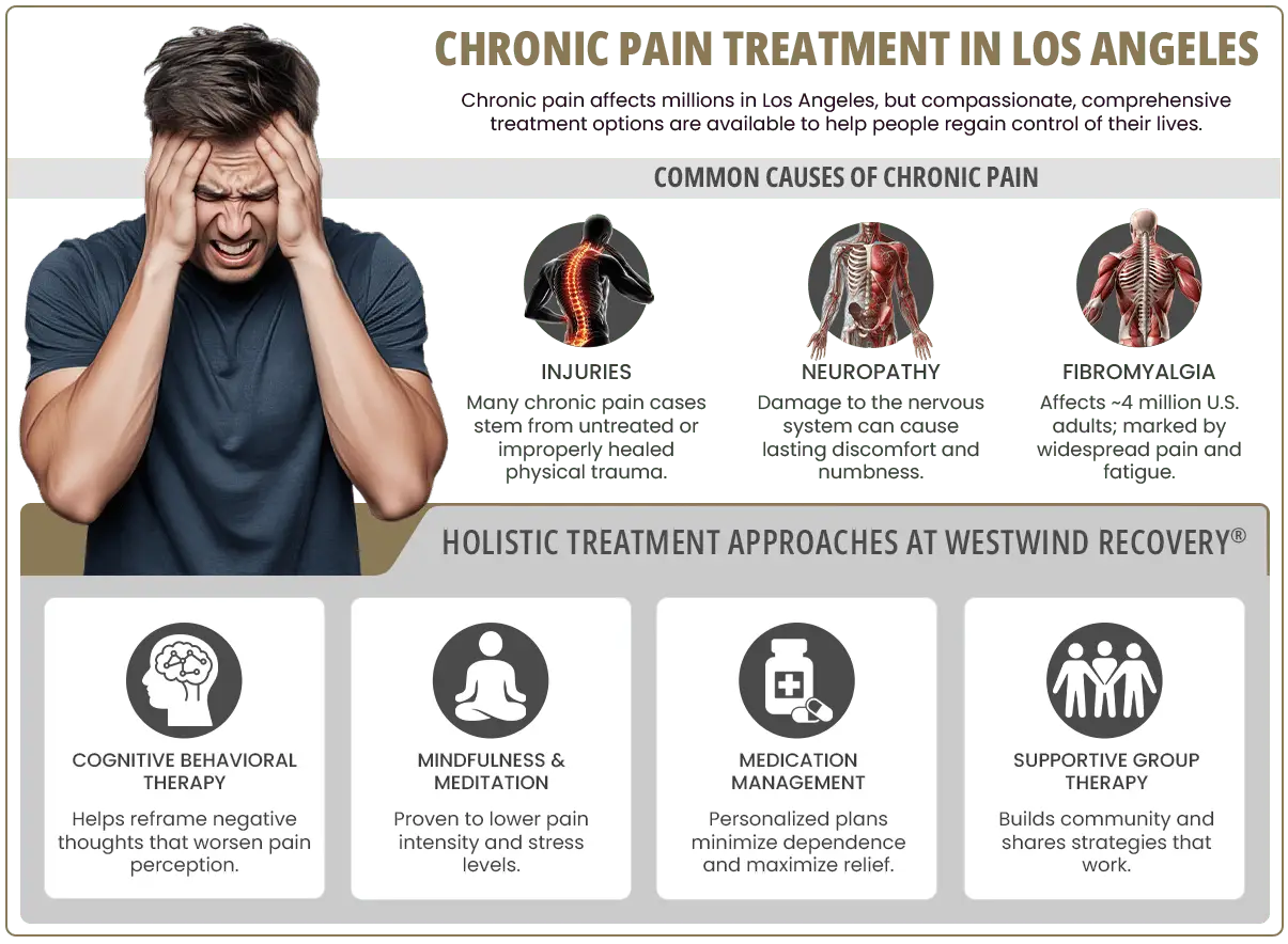 infographic highlighting chronic pain treatment and holistic approaches in LA