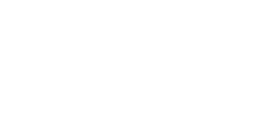 magellan-logo-white