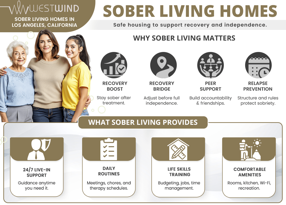 an infographic showing why sober living homes in Los Angeles, CA matter